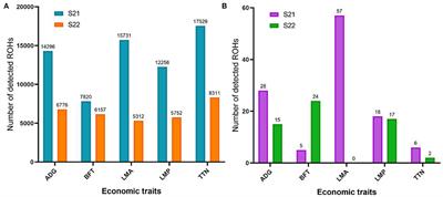 Identification of Homozygous Regions With Adverse Effects on the Five Economic Traits of Duroc Pigs